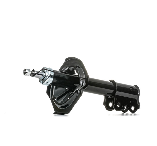 GG2M34900 OE RIDEX Støddæmper 854S0756