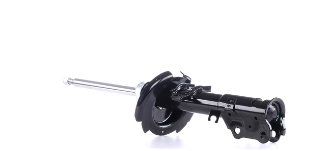 DF7134900G OE RIDEX Støtdemper 854S0703