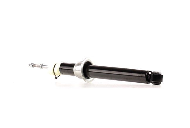 XR811178 OE RIDEX Blažilnik 854S0843
