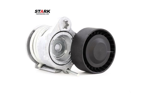STARK SKTP-0600042 Tenditore cinghia servizi BMW E91 330 d Diesel 211 CV 2007 prezzo