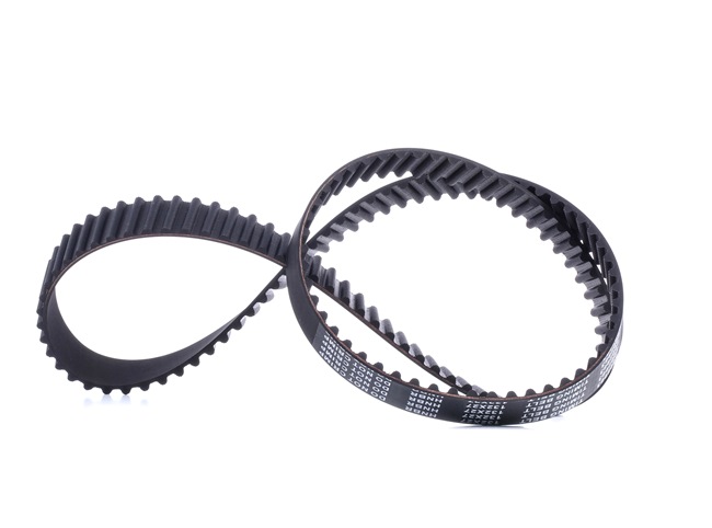 STARK SKTIB-0780016 Courroie moteur RENAULT CLIO 2 (BB0/1/2, CB0/1/2) 1.6 16V (BB01, BB0H, BB0T, BB14, BB1D, BB1R, BB2KL, BB3G... Essence 107 CV 2003