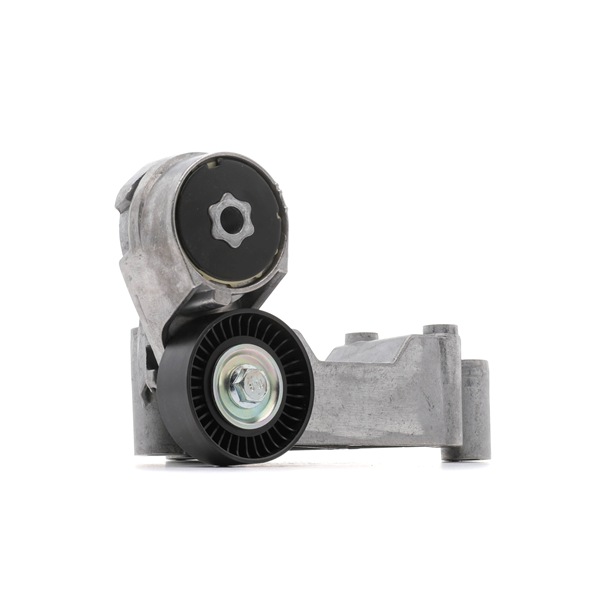 98FF3K738BH OE STARK Tensioner pulley SKTP-0600075