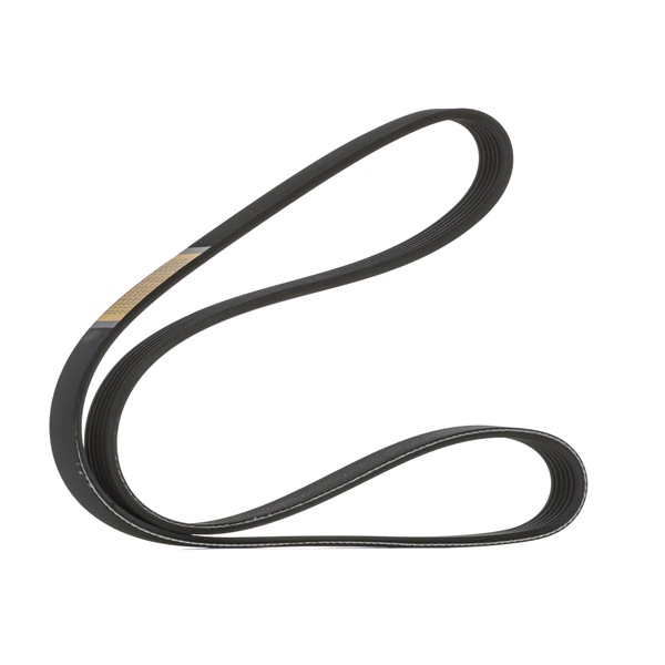 STARK SKPB-0090013 Cinghia Poly-V RENAULT 19 I Hatchback 1.8 16V Benzina 137 CV 1989 prezzo