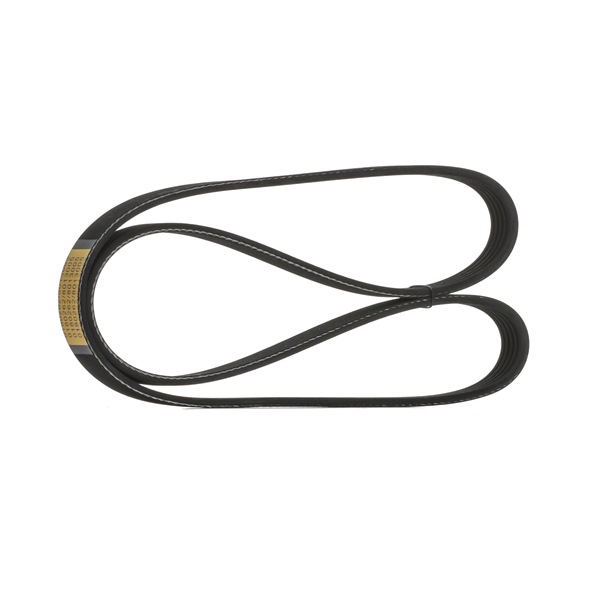 STARK SKPB-0090024 Cinghia Poly-V DACIA Logan I Sedan (LS) 1.4 Benzina 75 CV 2012 prezzo