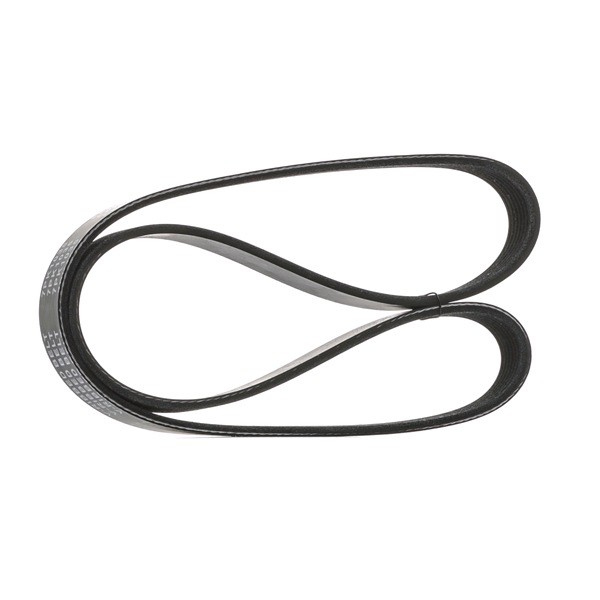 STARK SKPB-0090030 Dirzas pleistiskas polifoninis RENAULT Modus / Grand Modus (F, JP) 1.2 benzinas 78 AG 2006