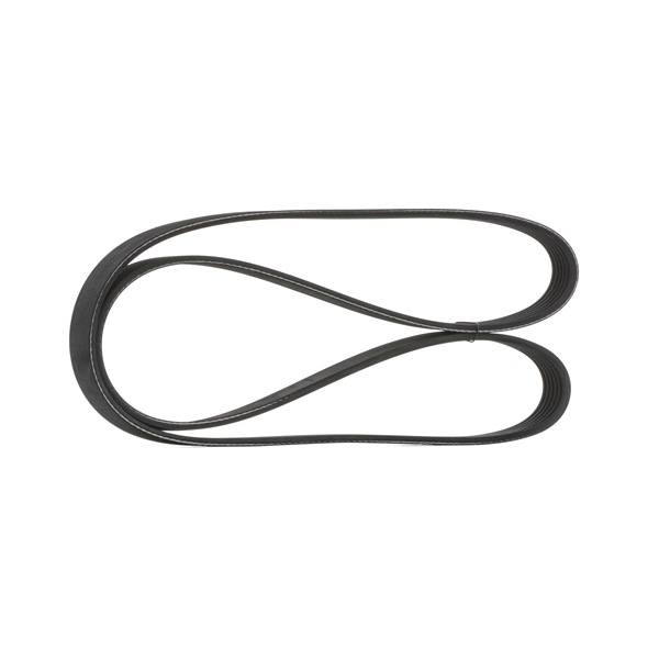 SKPB-0090029 courroie d'alternateur STARK Ford FIESTA