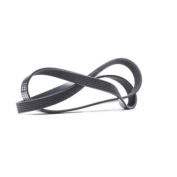 55565301 OE STARK Courroie Poly-V SKPB-0090035