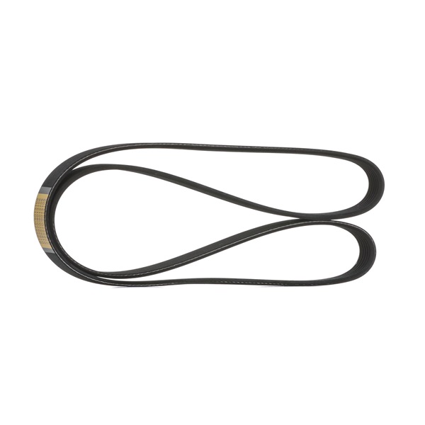 STARK SKPB-0090070 Courroie trapézoïdale à nervures SAAB 9-3 Break (YS3F) 1.9 TTiD Diesel 130 CV 2013