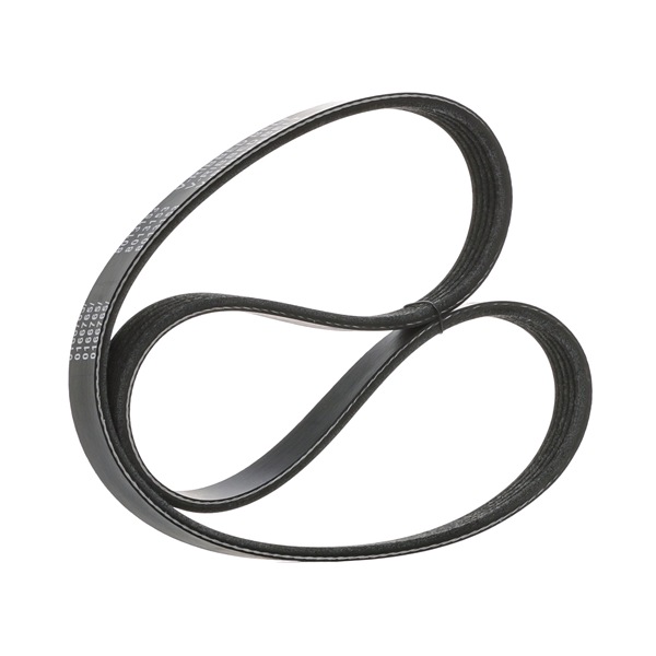 STARK SKPB-0090101 Courroie d'accessoire RENAULT 19 I 3/5 portes 1.7 Essence 90 CV 1988