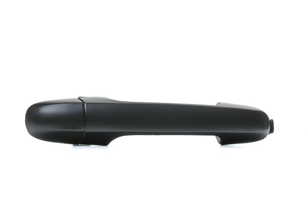 BLIC Door Handle 6010-20-034402P