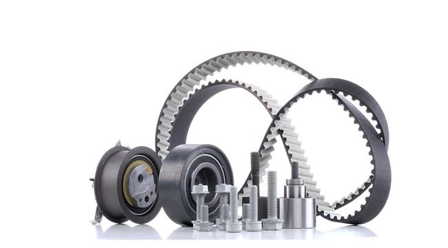 STARK SKTBK-0760073 Timing belt VW Passat Variant (3C5) 1.6 TDI Diesel 105 hp 2010 price