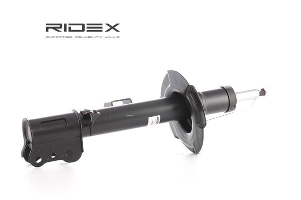 EC0134900H OE RIDEX Amortizatorius 854S1217