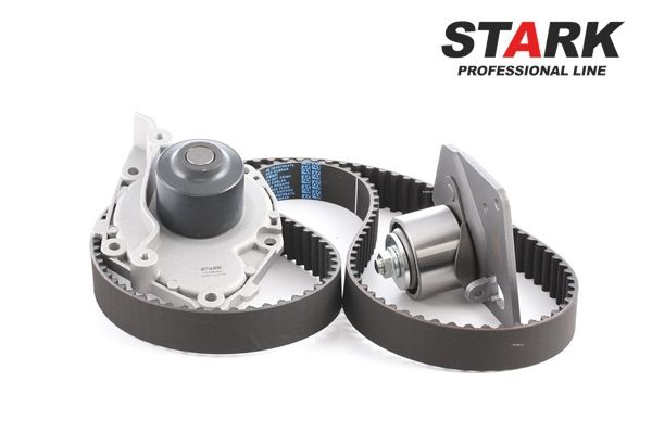 STARK SKWPT-0750042 Комплект ремня грм + водная помпа RENAULT MEGANE 2 Coupe-Cabriolet (EM0/1) 1.9 dCi Дизель 110 л.с. 2008