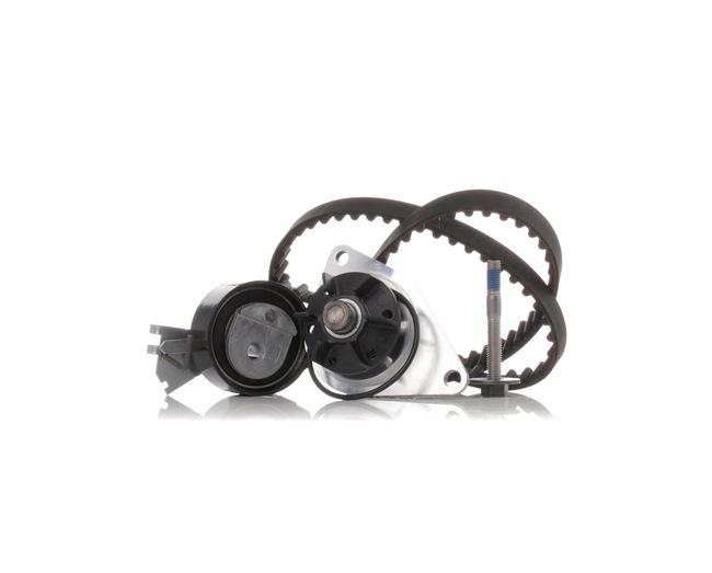 STARK SKWPT-0750048 Kit de distribución con bomba de agua Citroën Berlingo M 1.1 i Gasolina 60 cv 2000 precio