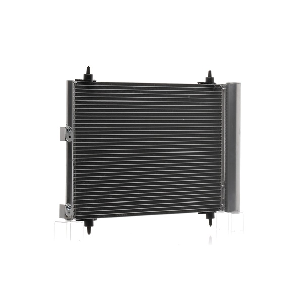 E163366 OE RIDEX Air conditioning condenser 448C0023