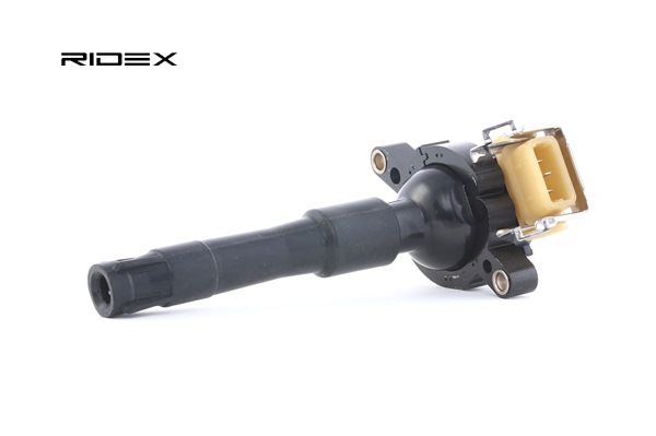 12131720166 OE RIDEX Bobine d'allumage 689C0024