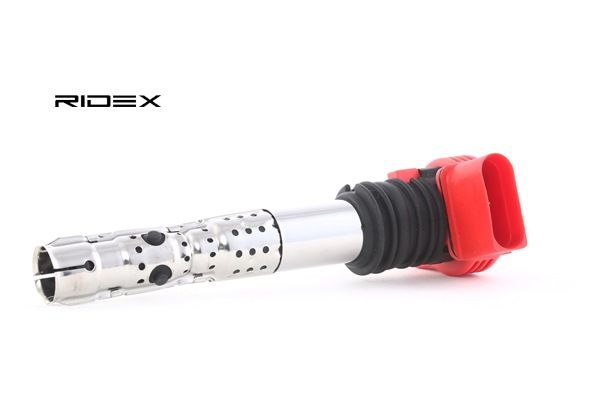 06C905115D OE RIDEX Bobina d'accensione 689C0025