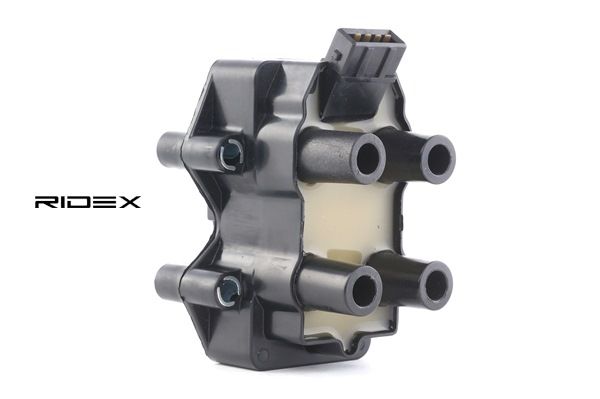 1208071 OE RIDEX Ignition coil 689C0065