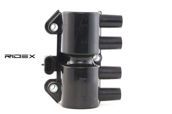 10450424 OE RIDEX Zündspule 689C0066