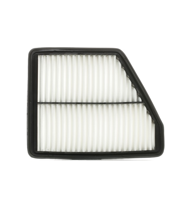 8A0217 RIDEX Luftfilter HYUNDAI MATRIX