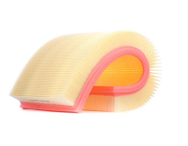 8A0361 RIDEX Filtro de aire OPEL CALIBRA