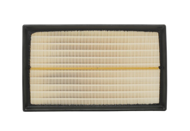 RIDEX 8A0329 Zracni filter VW Multivan T6 (SGF, SGM, SGN) 2.0 TSI Bencin 150 km 2018