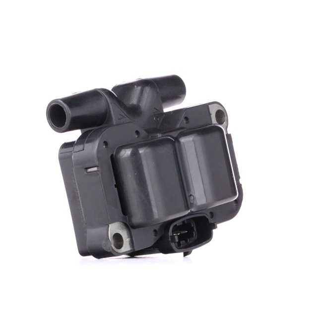 0003100V005 OE RIDEX Uždegimo ritė 689C0241