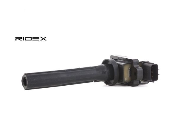 3341077E21 OE RIDEX Ignition coil 689C0078