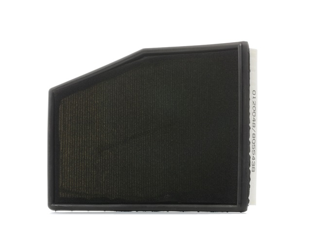 RIDEX Filtre à air CAYENNE 8A0365
