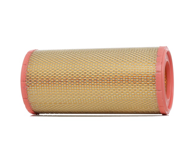 RIDEX X2950576 Ilmansuodatin 8A0424