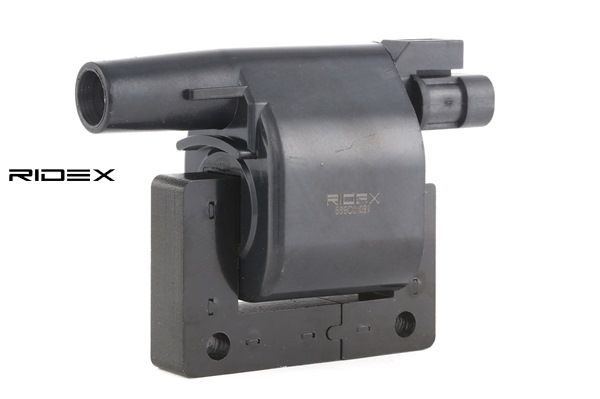 2243351J10 OE RIDEX Tændspole 689C0081