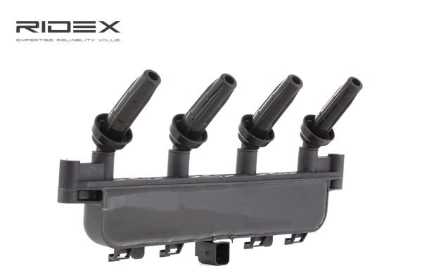 596319 OE RIDEX Bobine d'allumage 689C0091