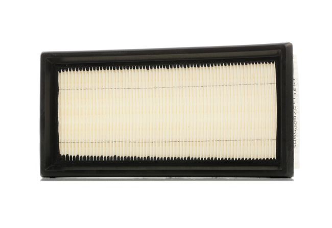 1378062J50 OE RIDEX Air filter 8A0360