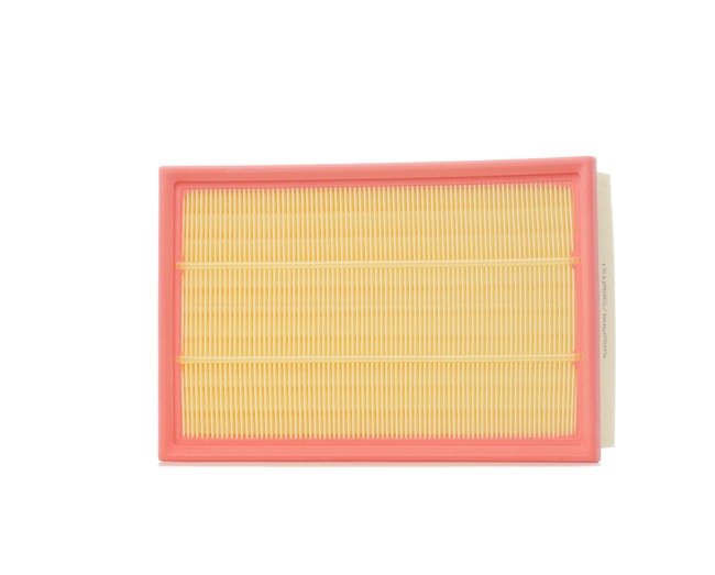 LR005816 OE RIDEX Filtro aria 8A0311