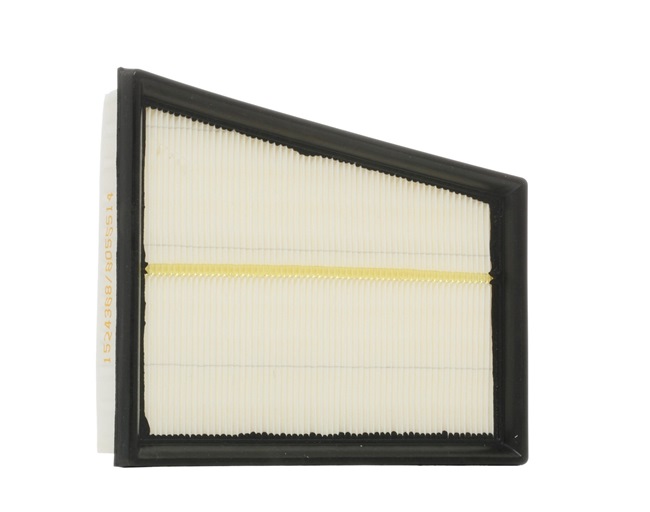 RIDEX 5S619601AA Luchtfilter