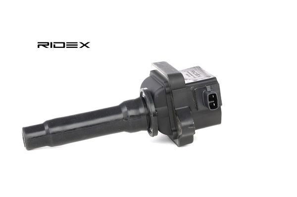 689C0103 RIDEX 134014 Zündspule