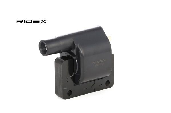 689C0108 RIDEX 2243318R10 Zündspule