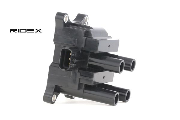 L81318100 OE RIDEX Катушка зажигания 689C0110