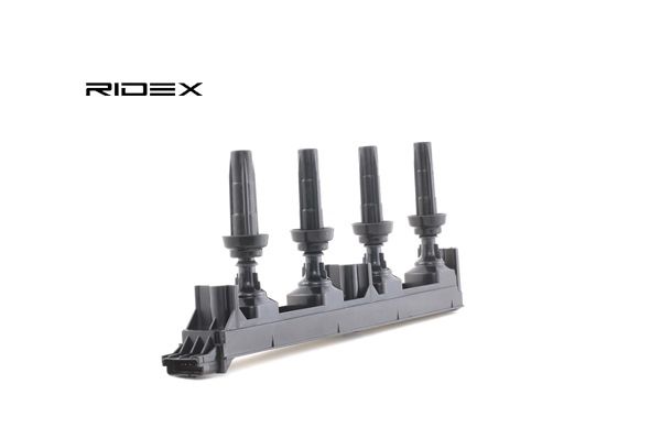 689C0111 RIDEX 5970A0 Zündspule