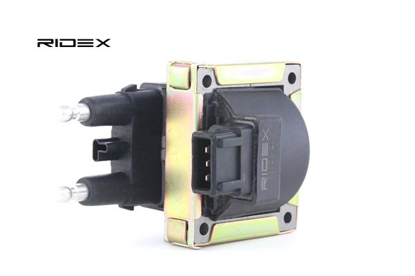 RIDEX 689C0120 Bobina d'accensione RENAULT MEGANE Scenic (JA0/1_) 2.0 i (JA02, JA0G) Benzina 109 CV 1999 prezzo