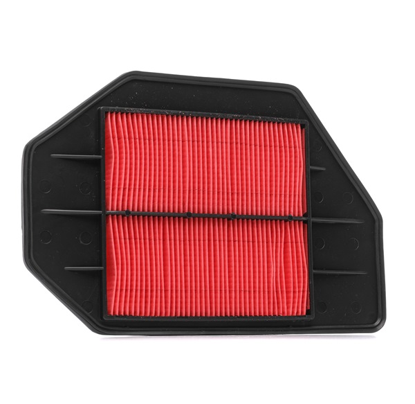 17220PLZE01 OE RIDEX Filtro de ar 8A0482