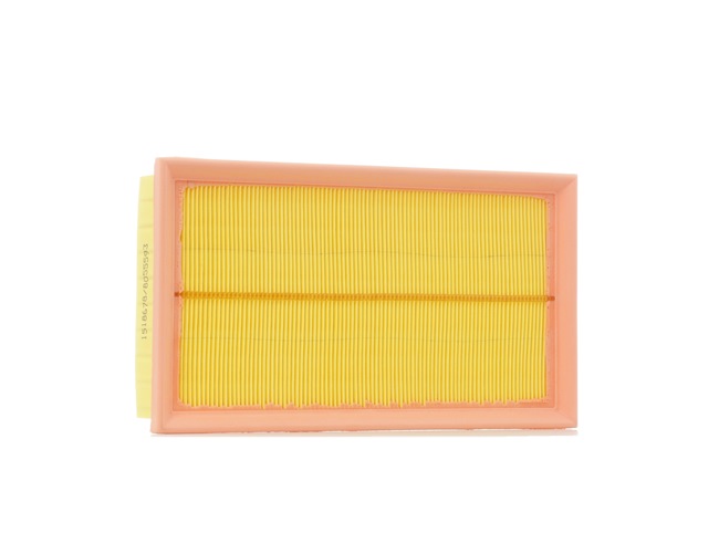 RIDEX 8A0510 Zracni filter RENAULT Avantime Van 2.2 dCi Dizel 150 km 2003
