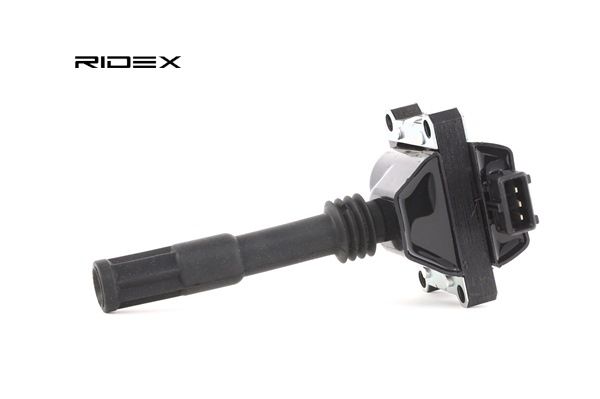 RIDEX 689C0146 Zündspule LANCIA THESIS (841AX) 3.2 V6 (841.AXF110) Benzin 230 PS 2009