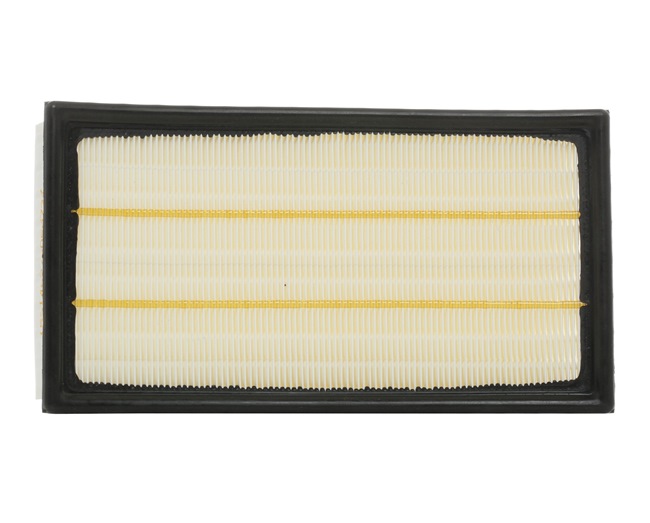 RIDEX 8A0423 Filtre à air JAGUAR S-Type (X200) 4.2 V8 Essence 298 CV 2007 prix