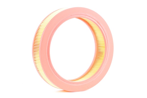 RIDEX 8A0440 Luftfilter RENAULT SUPER 5 (B/C40_) 1.1 48 PS Benzin 1990