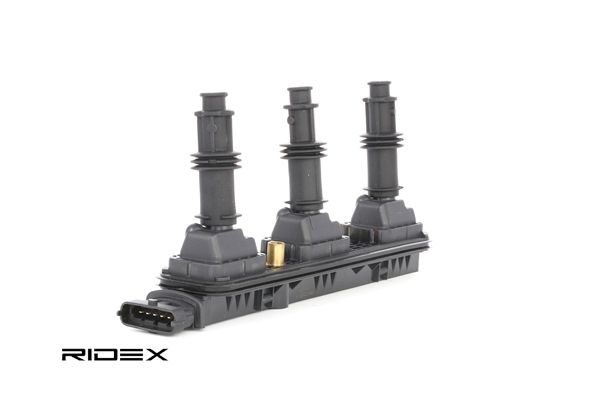 RIDEX 689C0274 Sytytyspuola VAUXHALL Vectra Mk II (C) CC (Z02) 3.2 V6 Bensiini 211 hv 2008