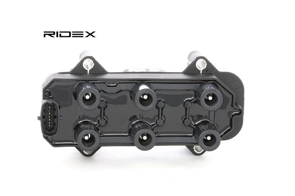 689C0267 RIDEX 120875 Zündspule