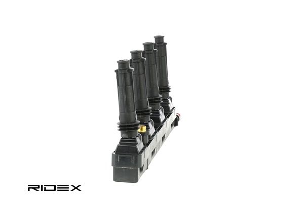 RIDEX 689C0248 Bobina d'accensione VAUXHALL Astra Mk V (H) Station Wagon (A04) 2.0 Turbo (L35) Benzina 170 CV 2010 prezzo