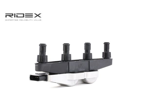 Babina RIDEX 689C0247