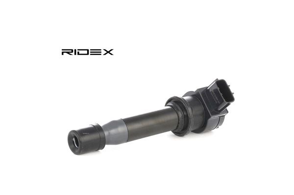 Bobina de ignição RIDEX 689C0246 adequados para FIAT, LANCIA barato